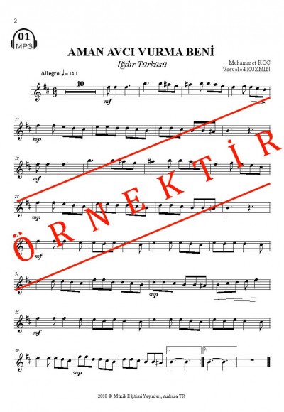 Azeri Türküler - Sib Transpoze Çalgı Partisi