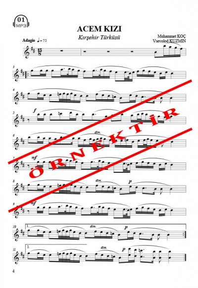 Halk Türküleri - Sib Transpoze Çalgı Partisi