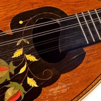 Mandolin Mandolin