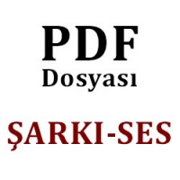 Şarkı-Ses