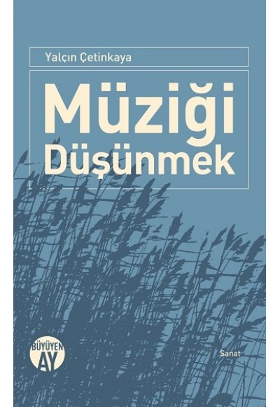 Müziği Düşünmek
