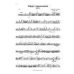 Allegro Appassionata, Op.43 Saint-Saens 