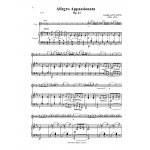Allegro Appassionata, Op.43 Saint-Saens 