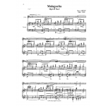 Malaguena, Op.135 No.3, Albeniz