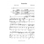 Rieding Op.21 La Minor Konçertino