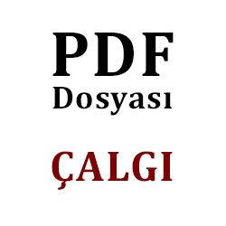 Çalgı