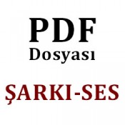 Şarkı-Ses